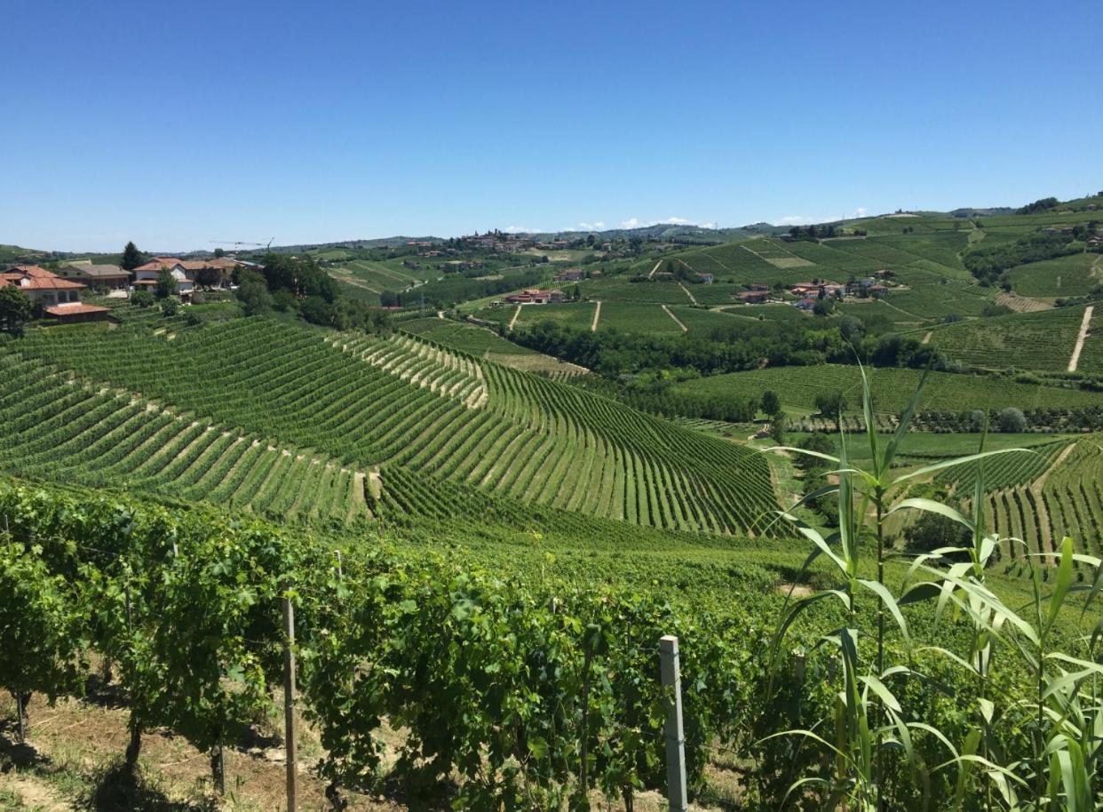 Castello Stella Vaglio Serra المظهر الخارجي الصورة