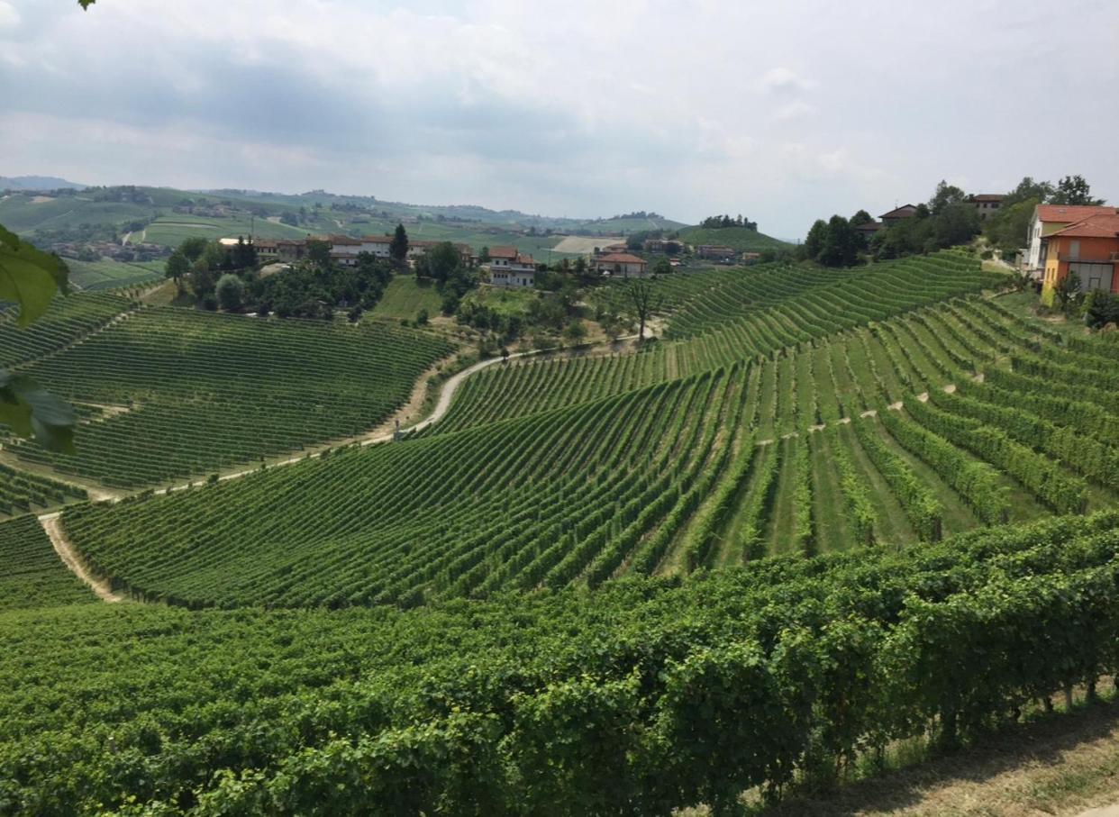 Castello Stella Vaglio Serra المظهر الخارجي الصورة